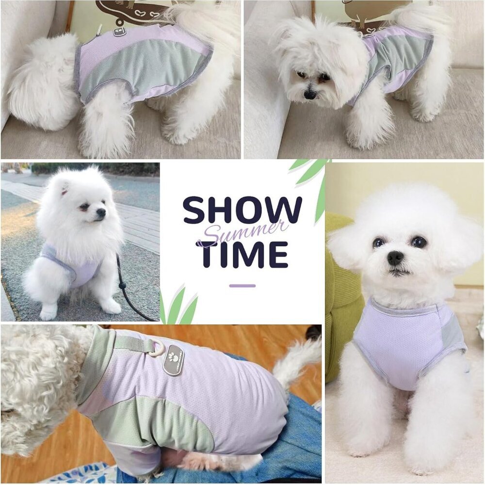 Comfortable Dog Cooling Vest with D-Ring - Stylish & Breathable for Small Breeds - Picture 6 of 7